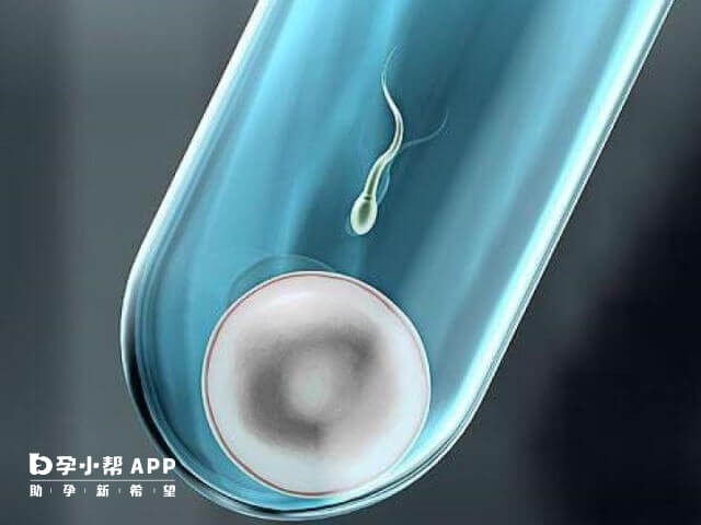 月经推迟十天没来,吃什么药 月经推迟了十天吃什么药能够来